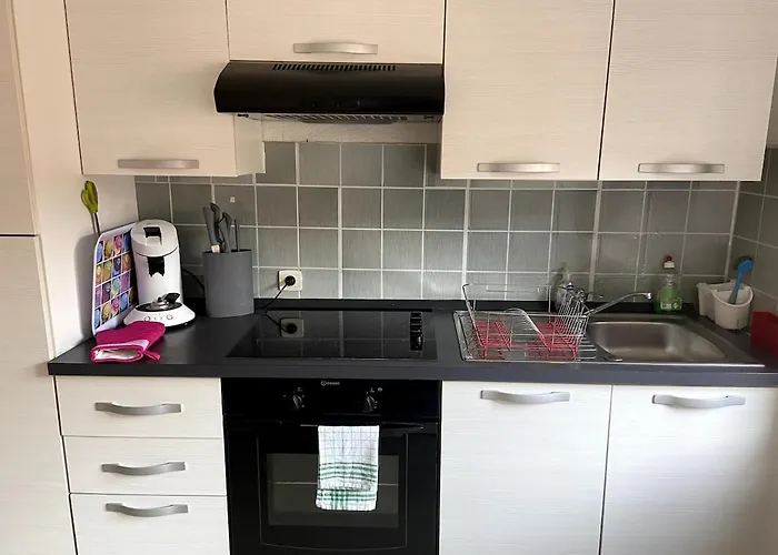 Aux Portes De Brisach Apartmán *
